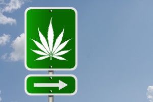 Driving on marijuana